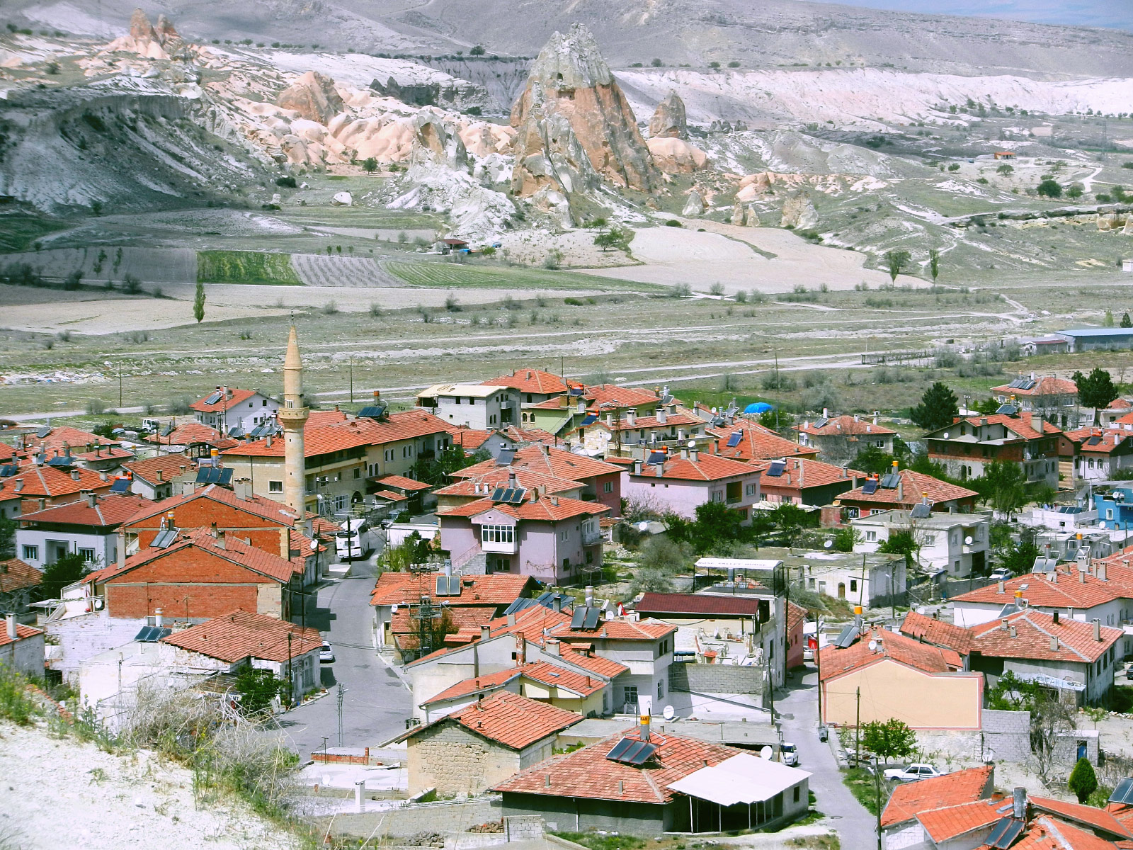 Cavusin